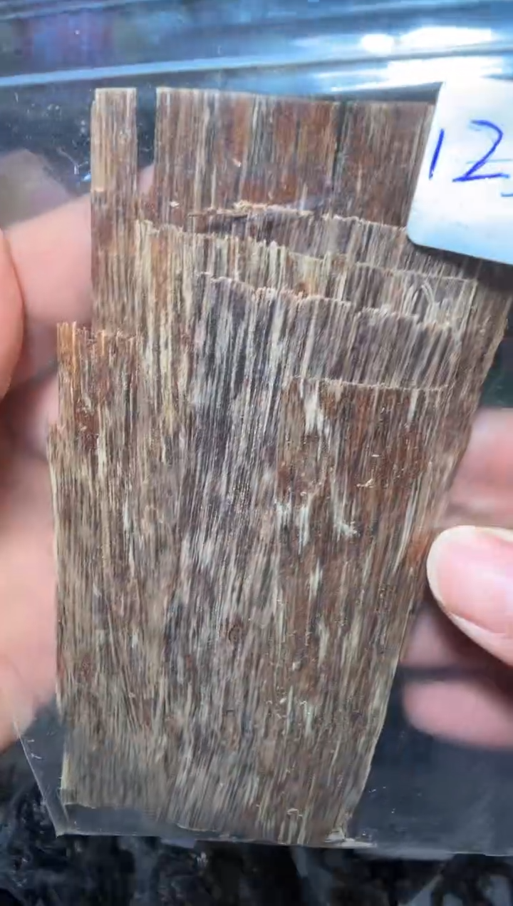 沉香香囊沉香沉水越南多样性发一