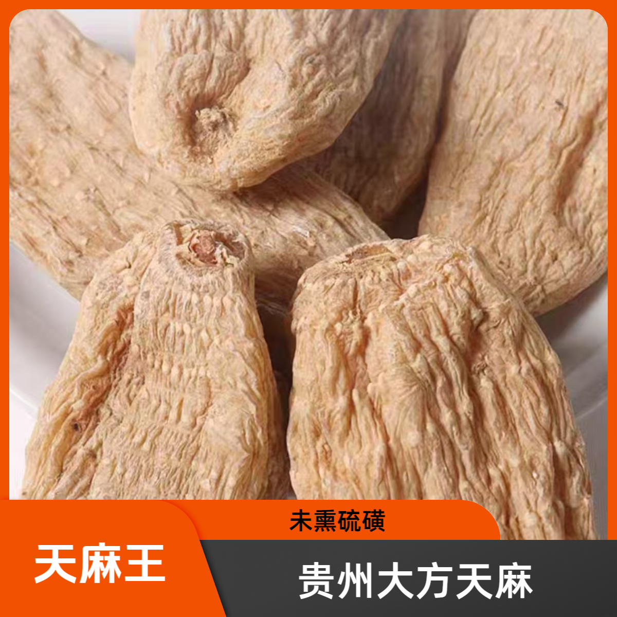 九里箐贵州大方原产地天麻林下种植天麻不熏山货硫磺煲汤营养不酸