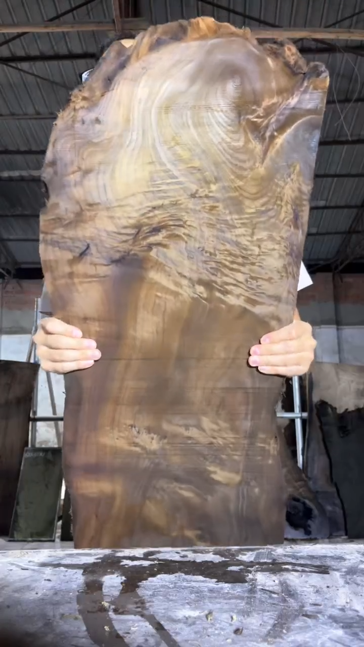 金丝楠10金丝楠小叶桢楠