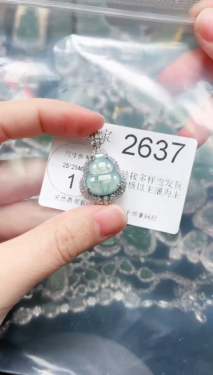【闪购商品】翡翠颈饰未镶嵌赠皮绳2637