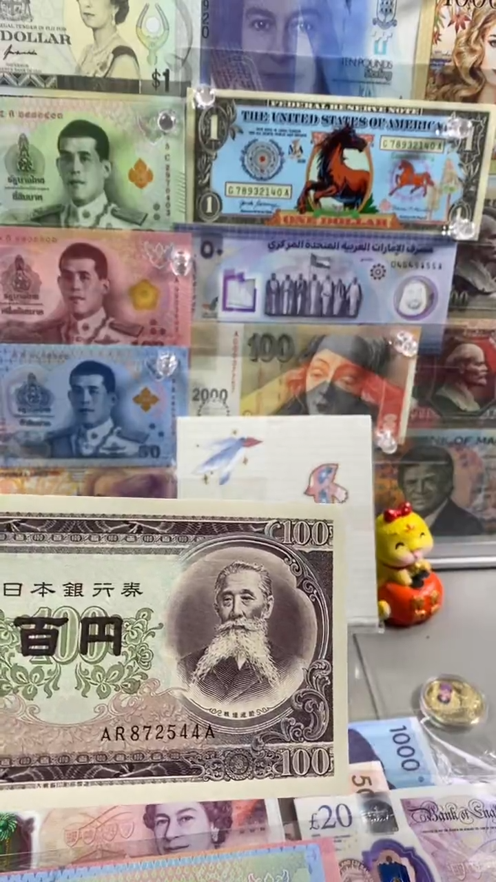 纸币纸币本子100 纸币