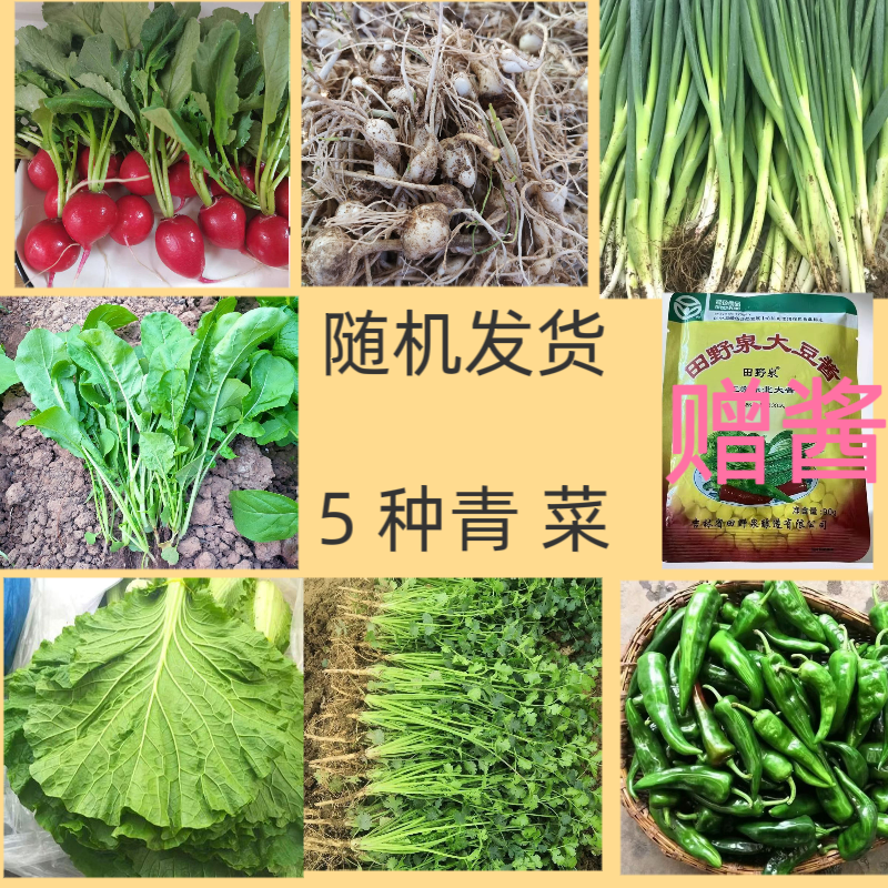 东北蘸酱菜组合小葱臭菜辣椒