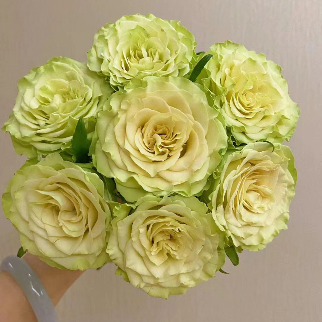 套餐四十五上官婉儿10支+绿多康10支+梦幻芭比泡泡3支+绿灵草一把