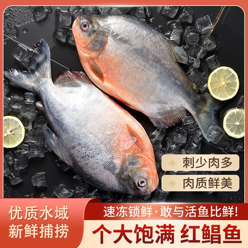 大号鲳鱼红鲳鱼新鲜捕捞顺丰冷链包邮