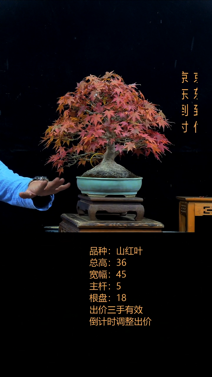 无花朵後*000000000