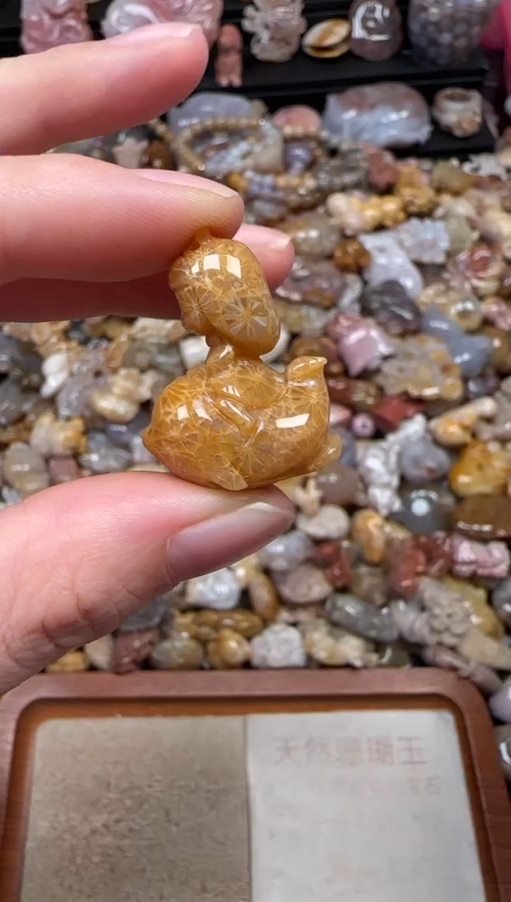 颈饰未镶嵌硅化珊瑚（珊瑚玉）715
