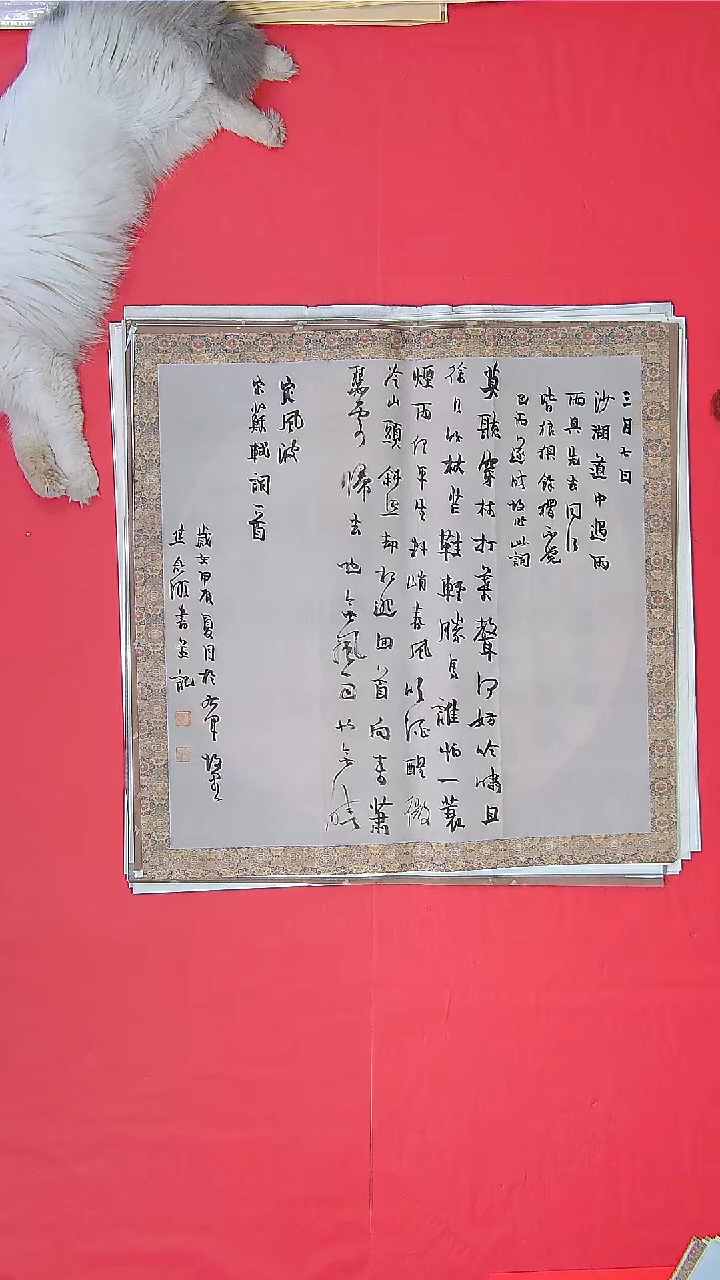 书法焦念明老师精品 纯手写山东打包10副