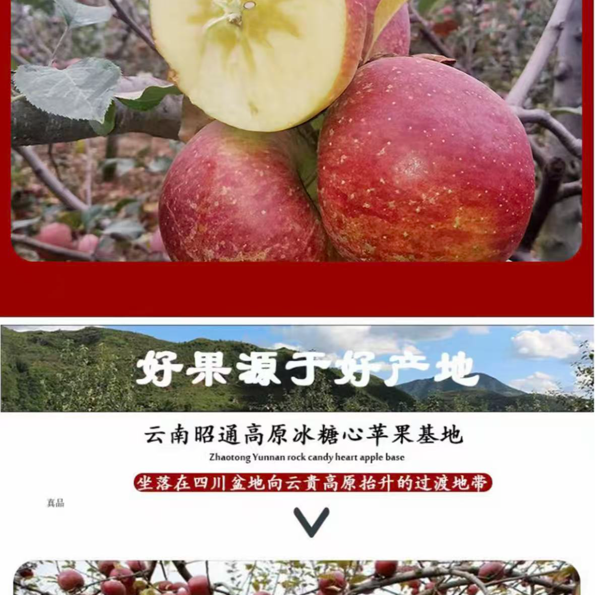 红富士冰糖心丑苹果含箱含包装约10斤净果8.5斤 6688