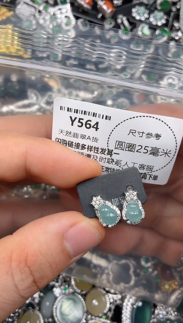 颈饰未镶嵌翡翠Y564耳钉