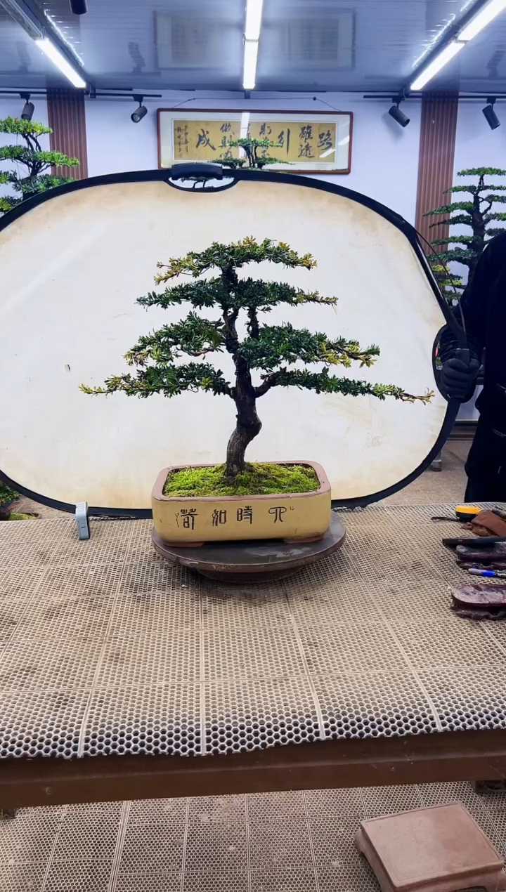 【闪购商品】0000000000