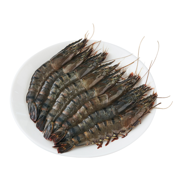 鲜活黑虎虾 250g（13只以内）