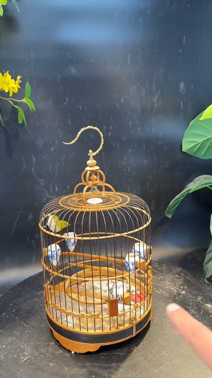 绣眼养笼0元起拍