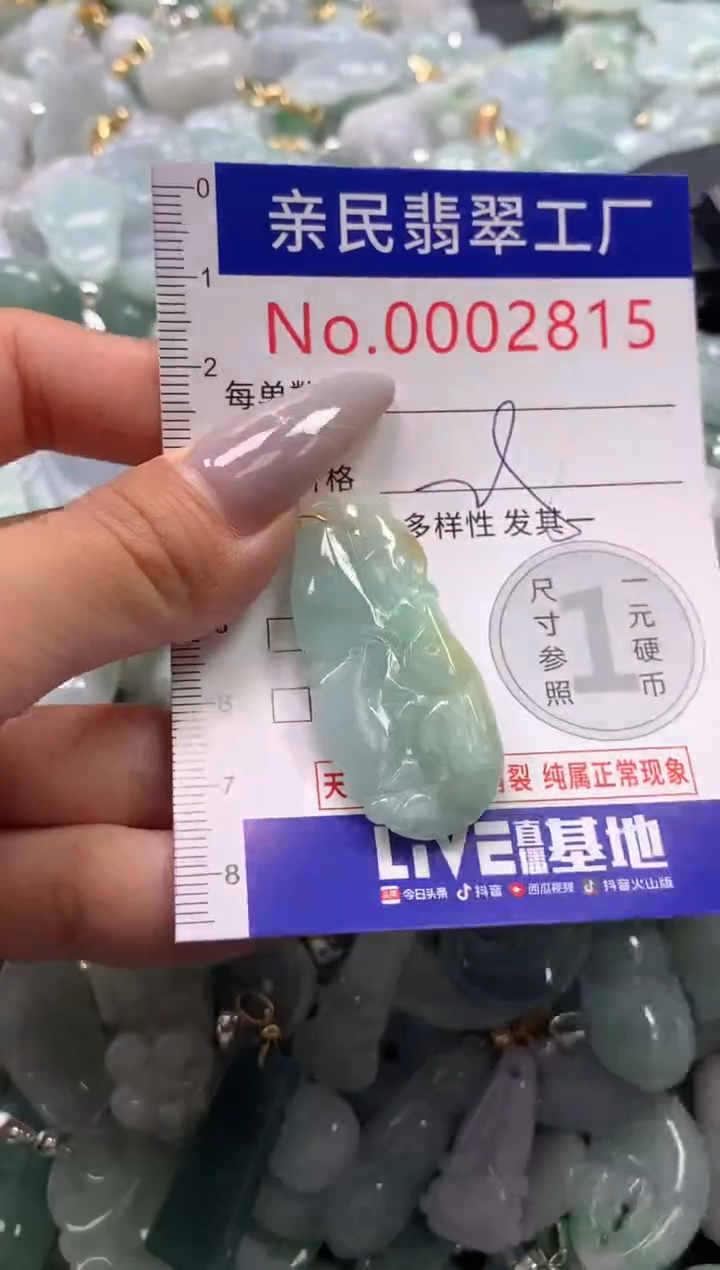 颈饰未镶嵌翡翠2815