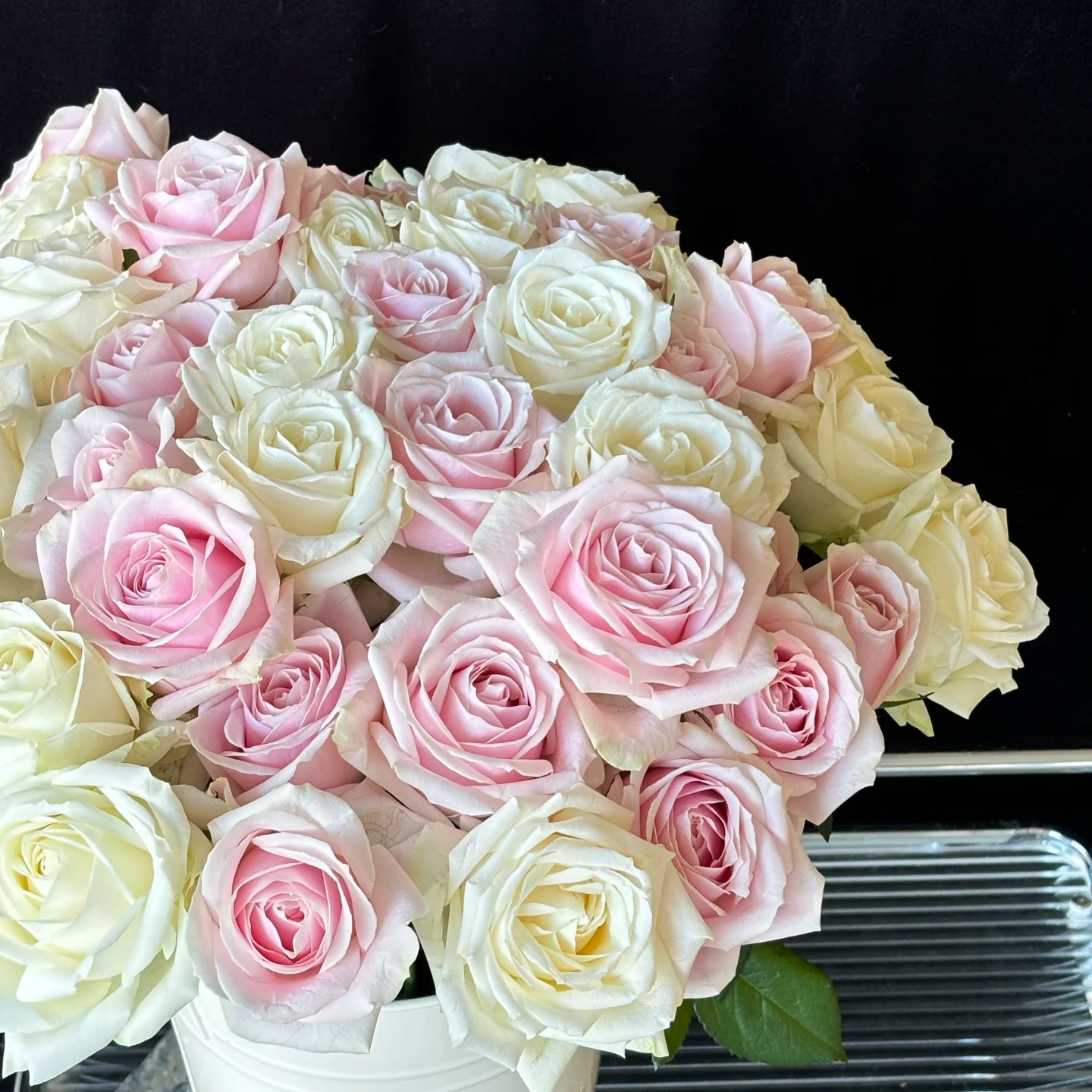 【粉红雪山+随机白玫瑰】单头玫瑰 枝长50-55cm 山东基地现采顺丰