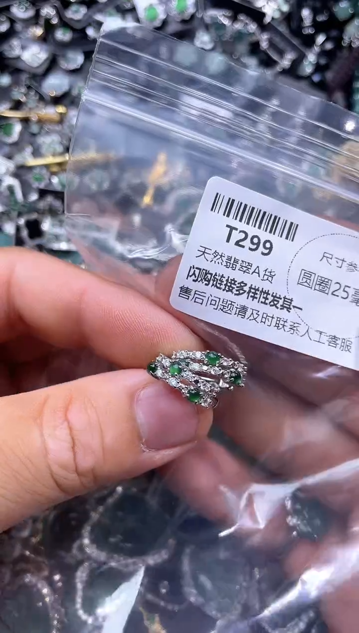 【闪购商品】翡翠颈饰未镶嵌T299耳扣