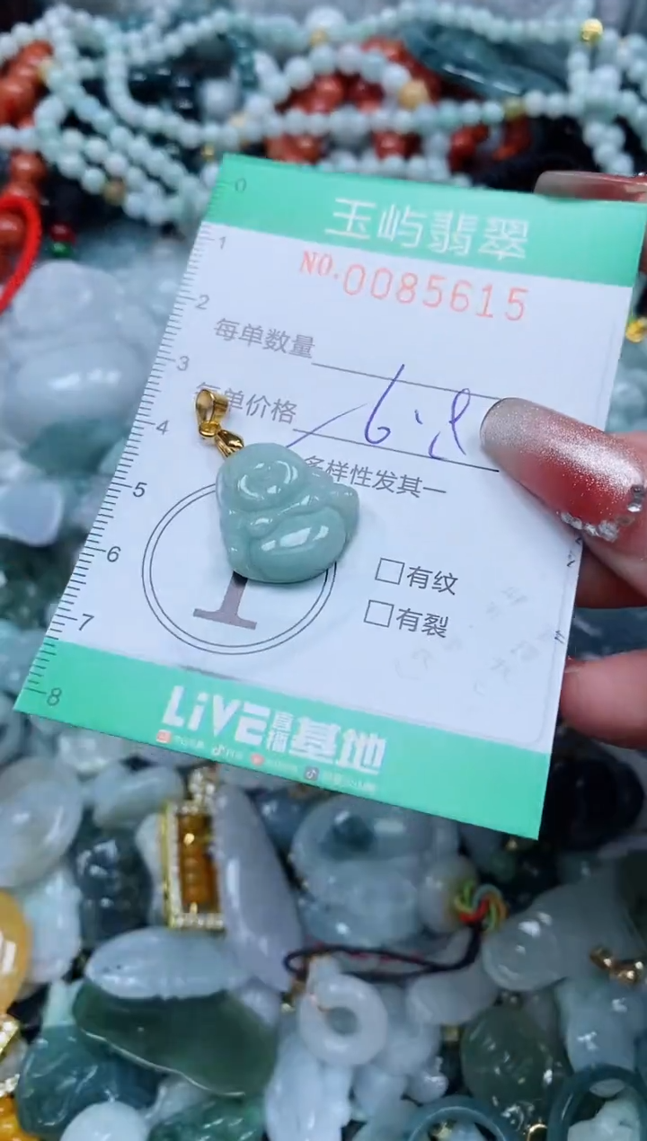 【闪购商品】翡翠颈饰未镶嵌闪购0085615多样性发其一