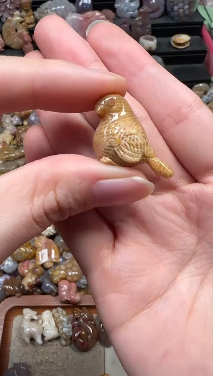 颈饰未镶嵌硅化珊瑚（珊瑚玉）834