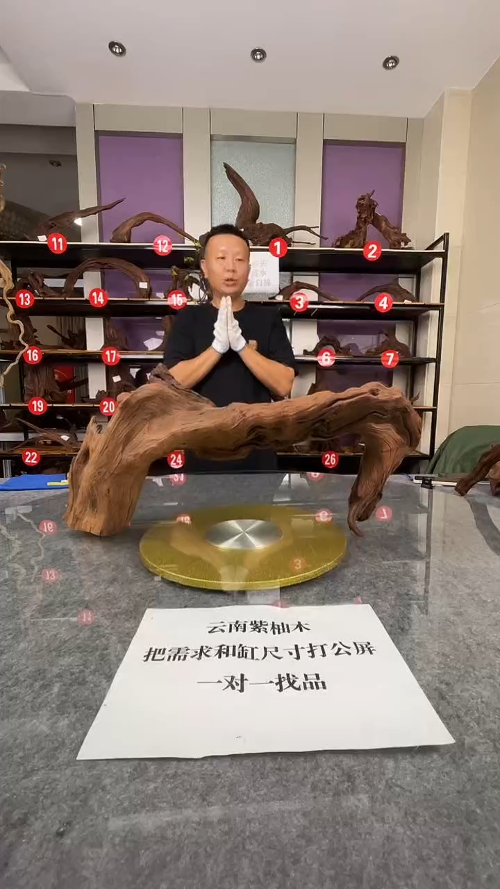 【一物一拍】鱼缸造景沉木云南紫柚木一木成景