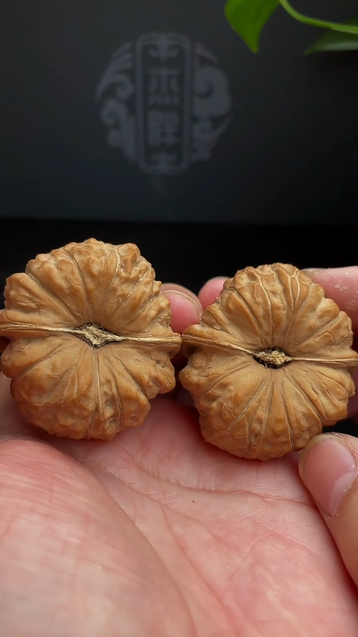 【闪购商品】文玩核桃把件2号南瓜46尺