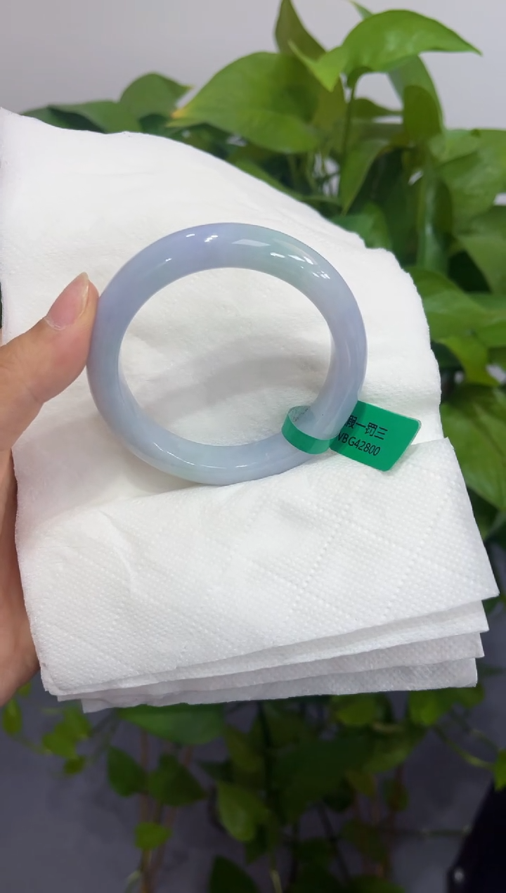 翡翠手镯未镶嵌阳**好00007006