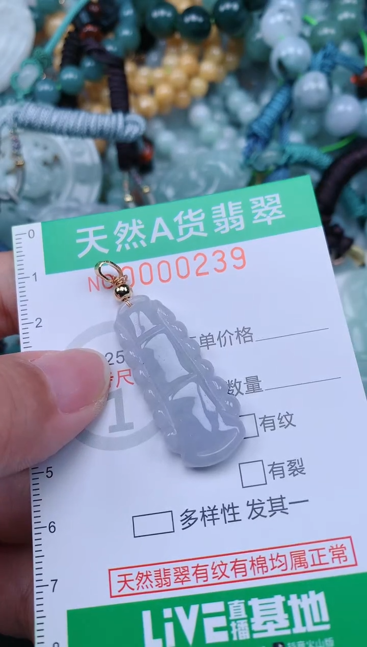 翡翠未镶嵌颈饰.0000239