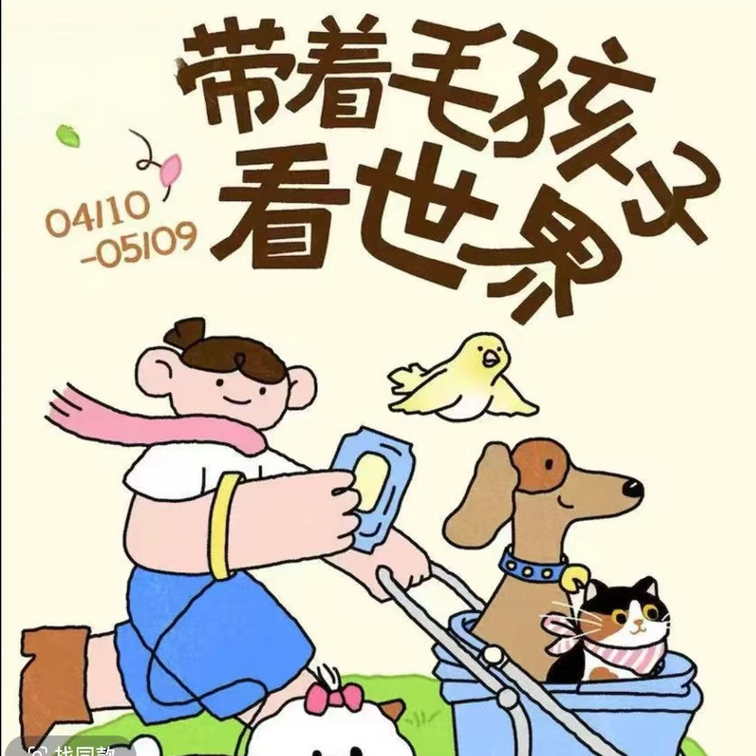 初级宠物技能包含PPT/ExcelPractical