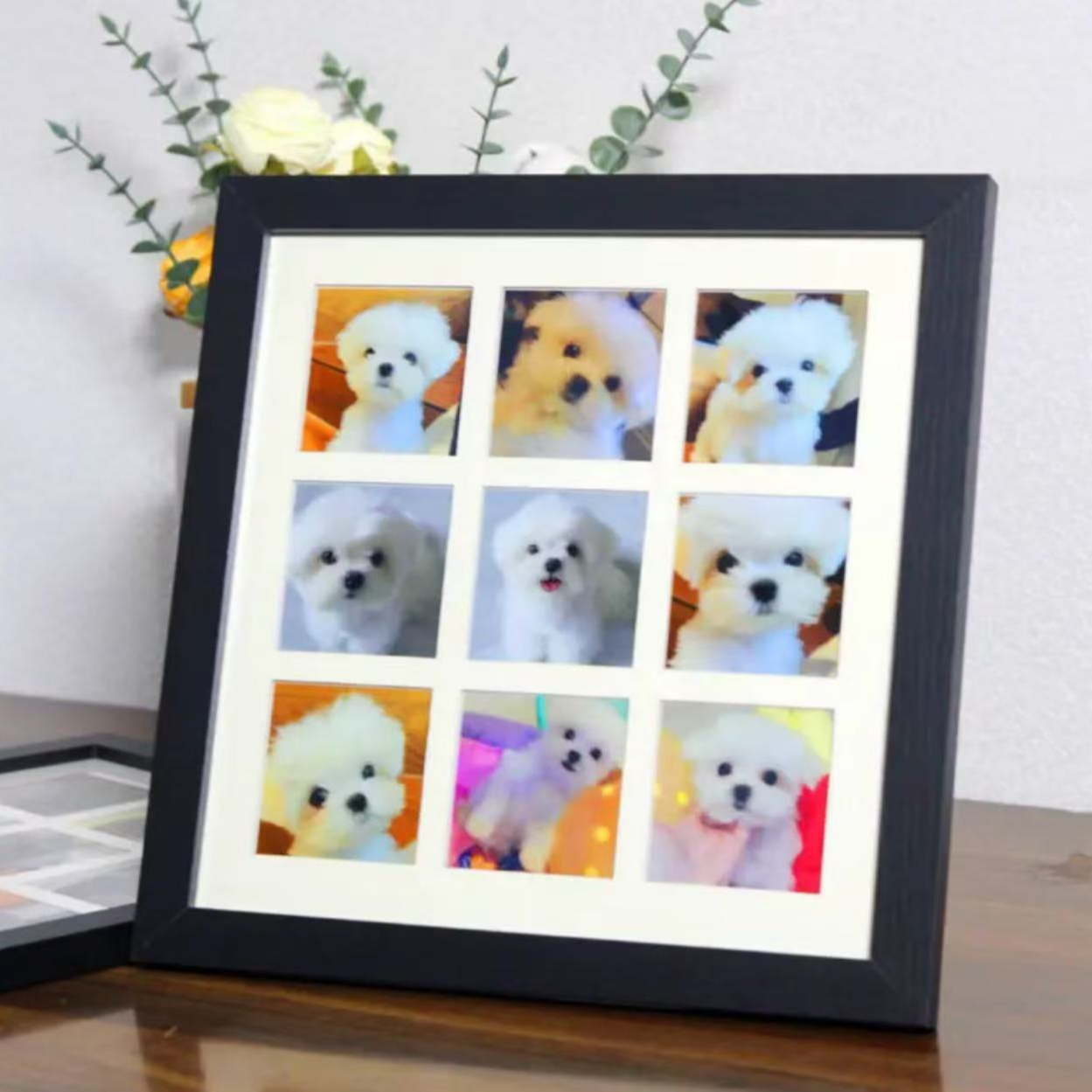 普通相册精品相册