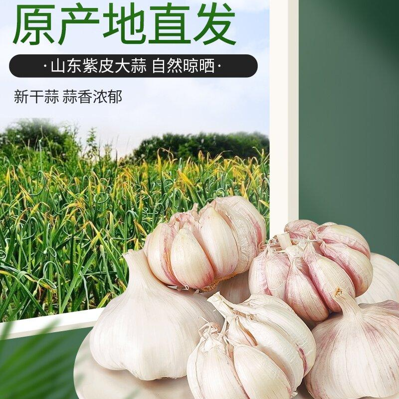 山东济宁金乡农家自种紫白皮大蒜可吃可种植大蒜2025年新干蒜5斤