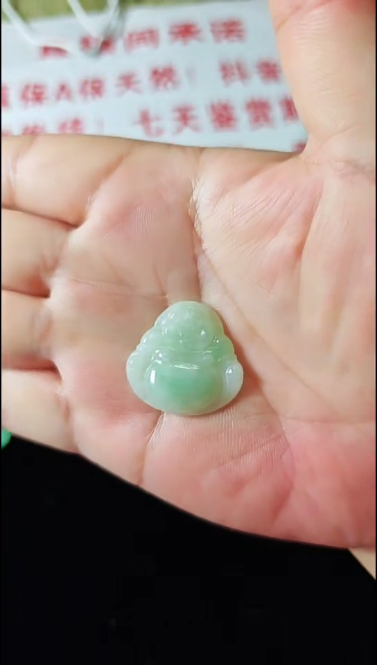 颈饰未镶嵌翡翠A03