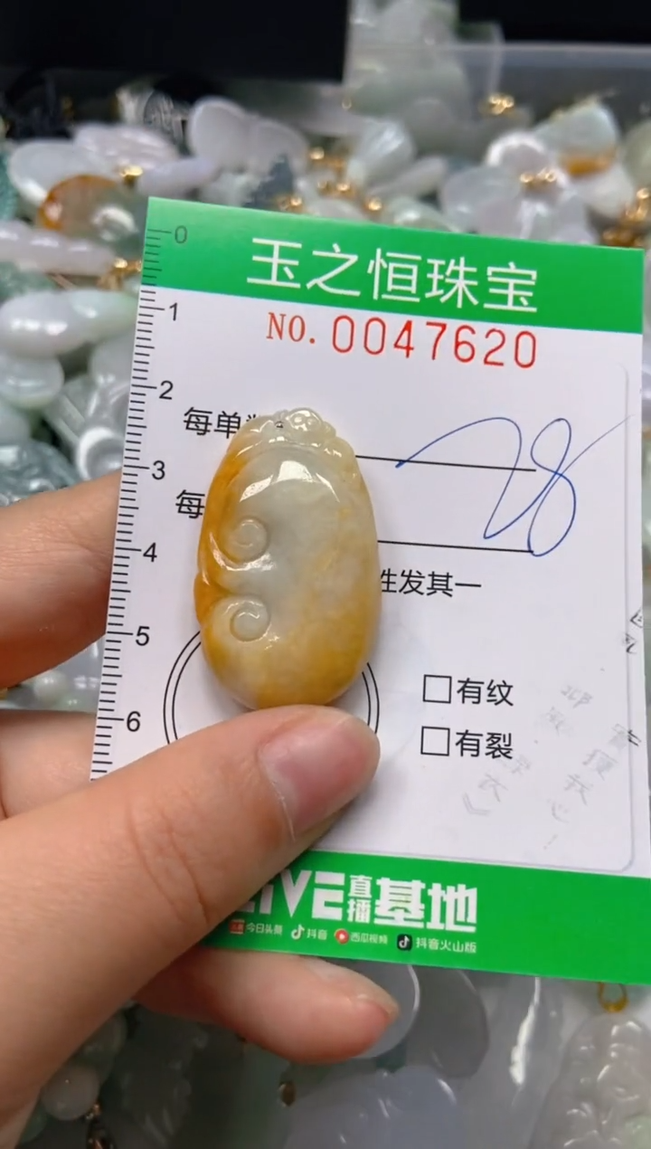 【闪购商品】翡翠颈饰未镶嵌闪购0047620
