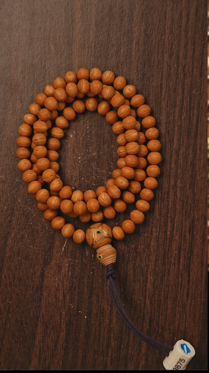 吊坠凤眼菩提S08魔瞳酸枣核