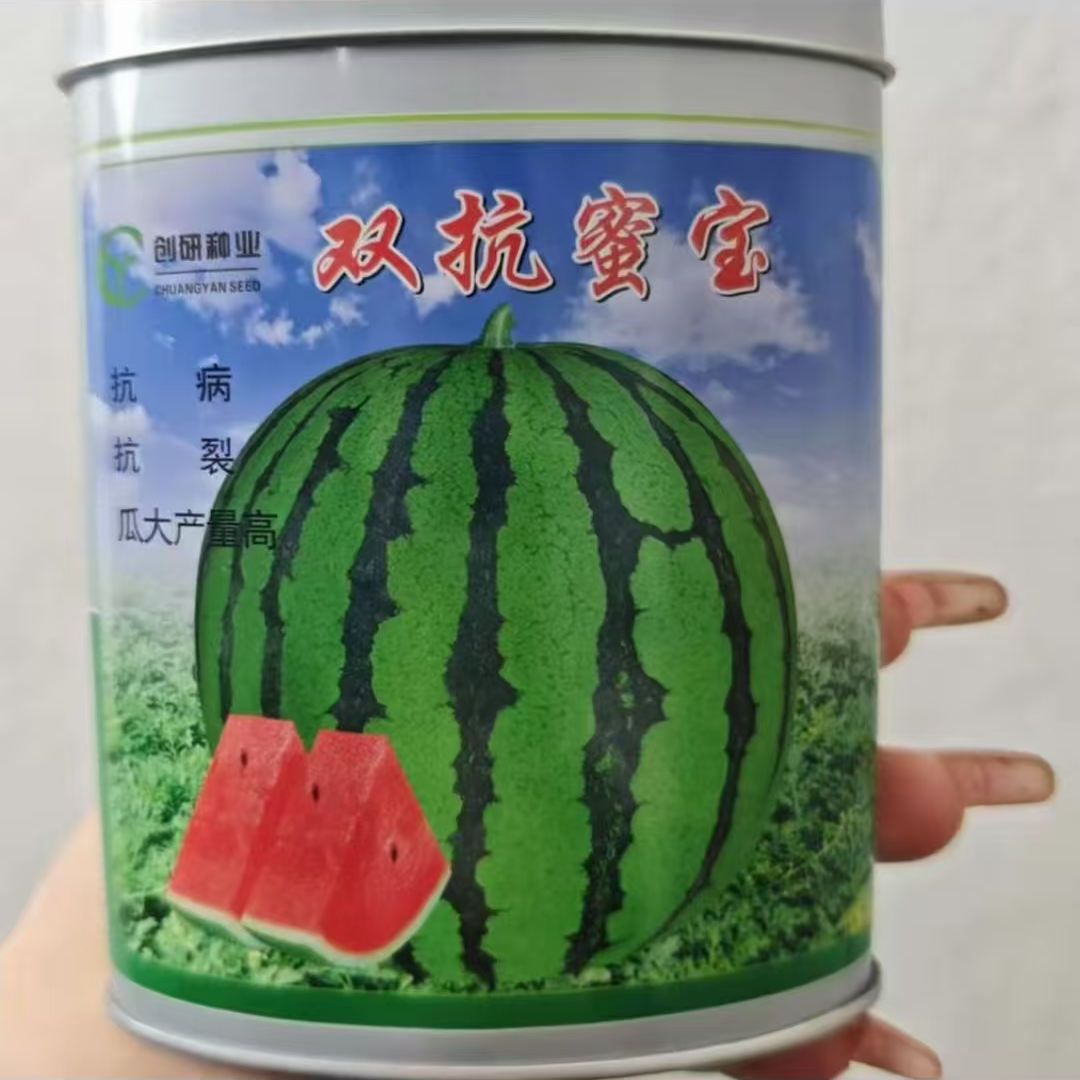 创研双抗蜜宝地雷西瓜种子