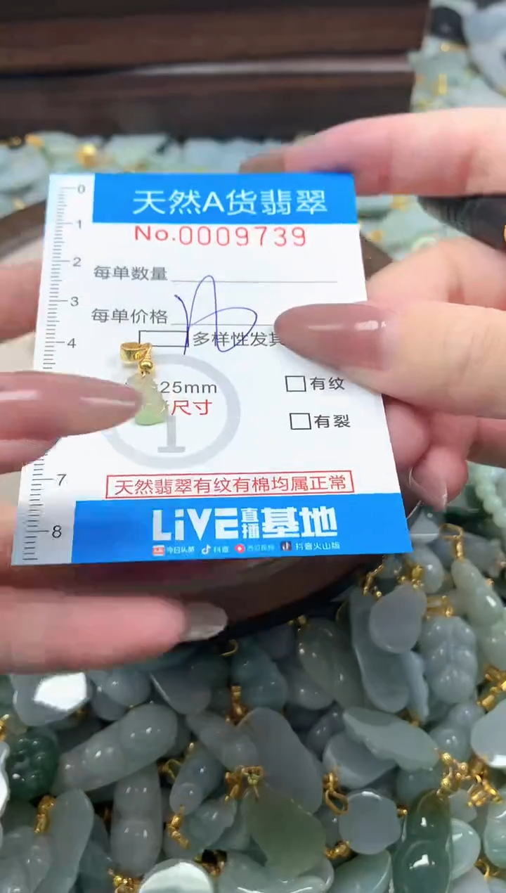 颈饰未镶嵌翡翠净货挂件-9739