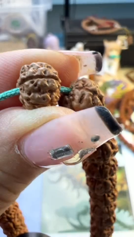 【闪购商品】金刚菩提手串600战神级勿利达老树王