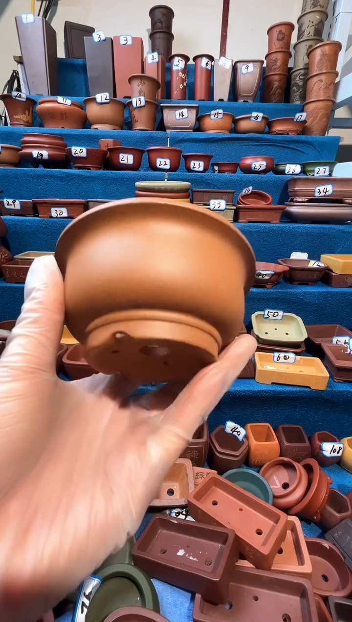 【闪购商品】紫砂紫砂花盆8*4