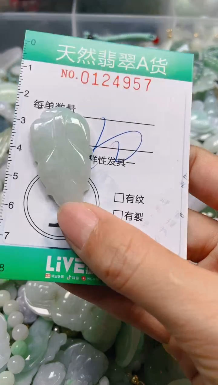 翡翠未镶嵌颈饰闪购01249757