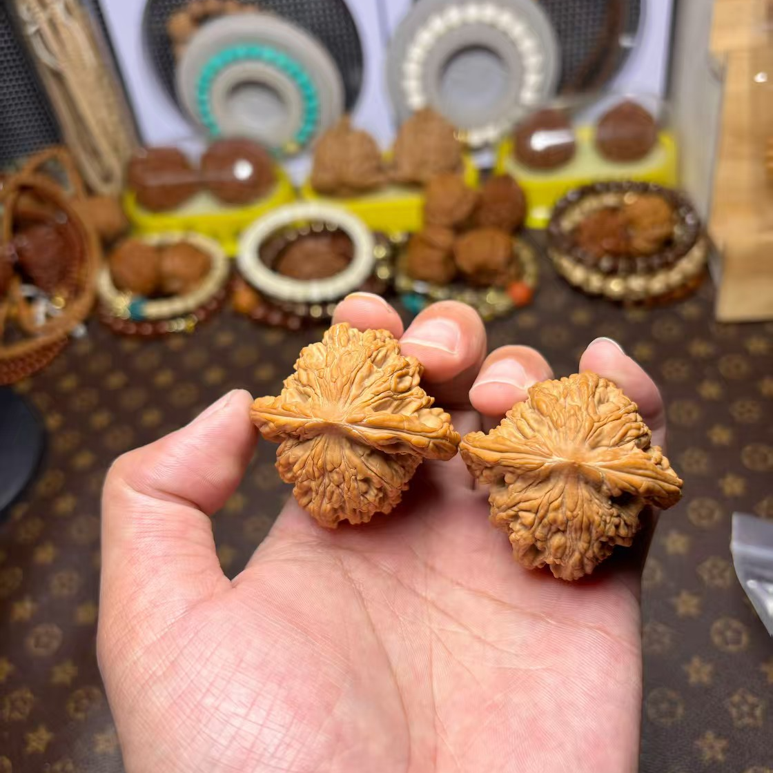 2025年头货超顶sss毕业级一代堂上麦穗虎头