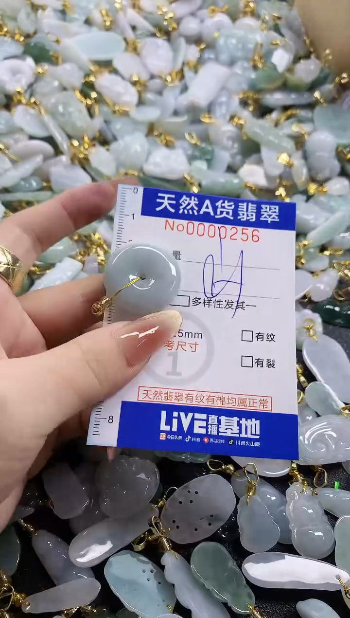 颈饰未镶嵌翡翠天然A货翡翠