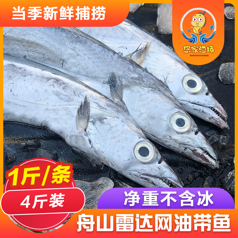 4斤【5-10两/条】舟山带鱼东海雷达网小眼油带鱼新鲜速冻无冰衣