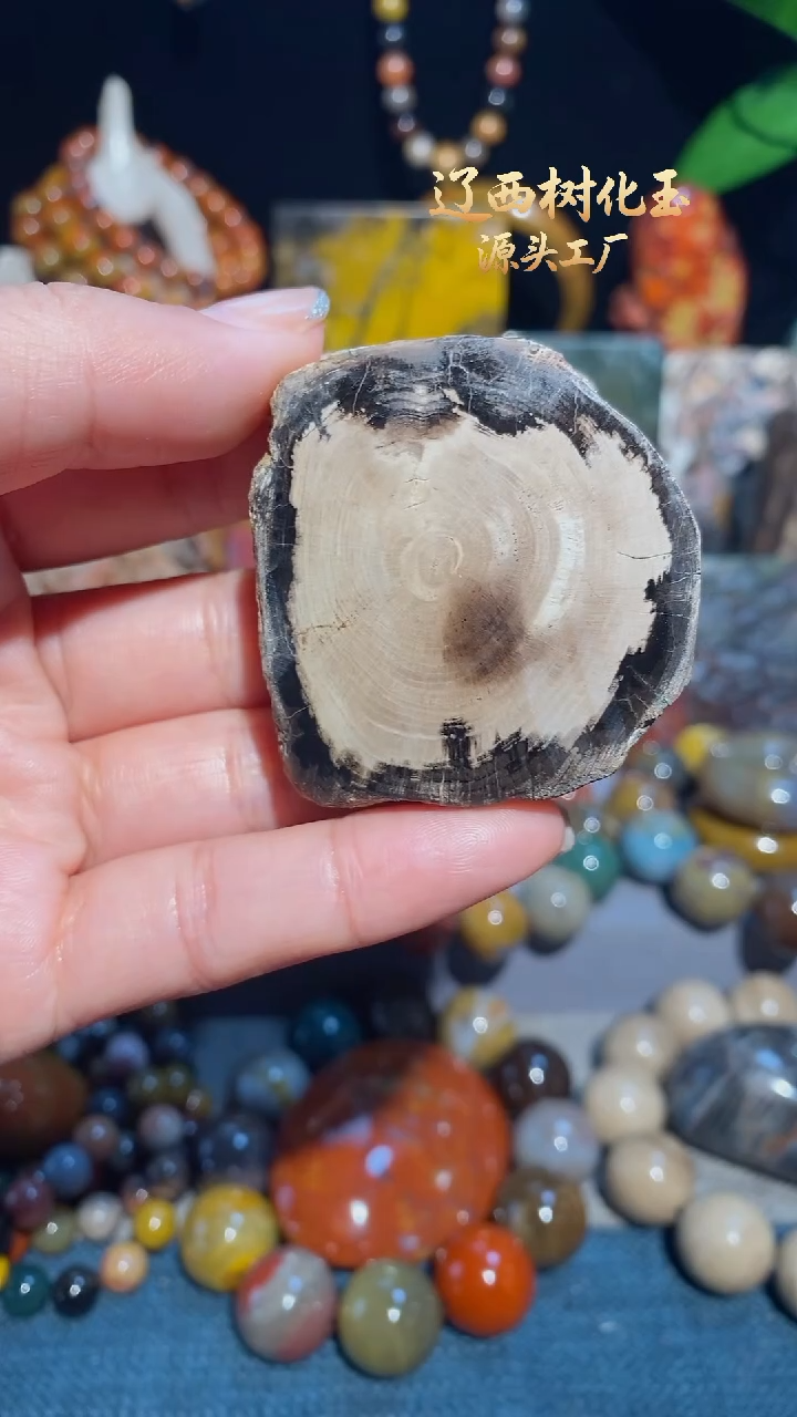 未镶嵌-硅化玉天然北票硅化玉原石