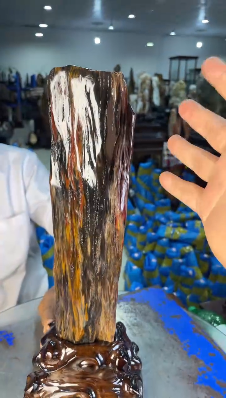 未镶嵌摆件硅化玉33