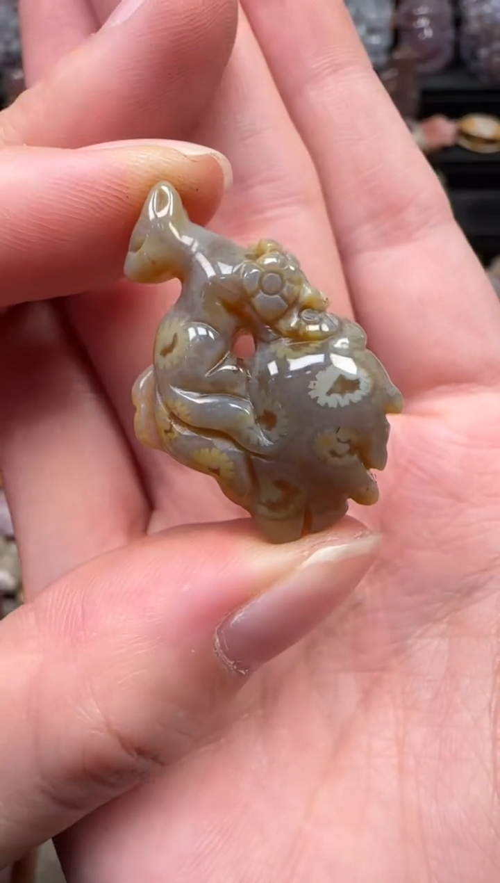 颈饰未镶嵌硅化珊瑚（珊瑚玉）121