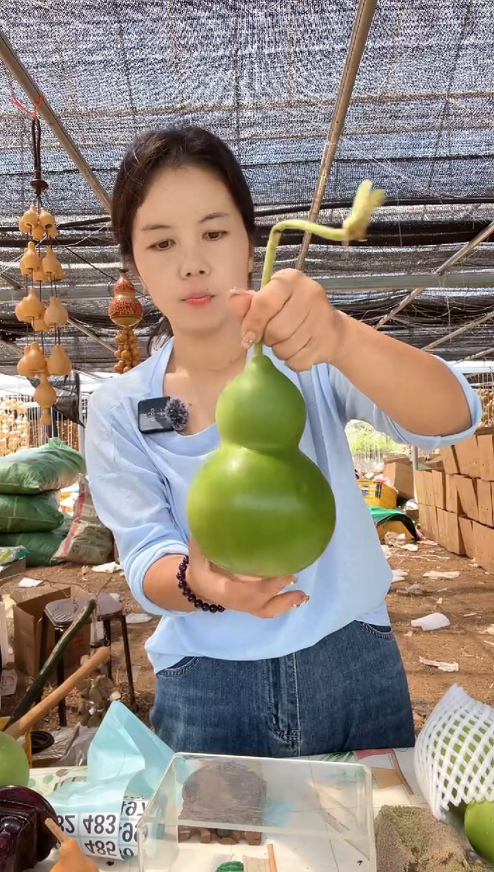482天然葫芦摆件 一物一拍龙头不保售后
