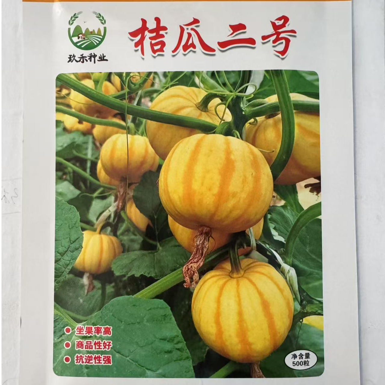 桔瓜二号南瓜种子