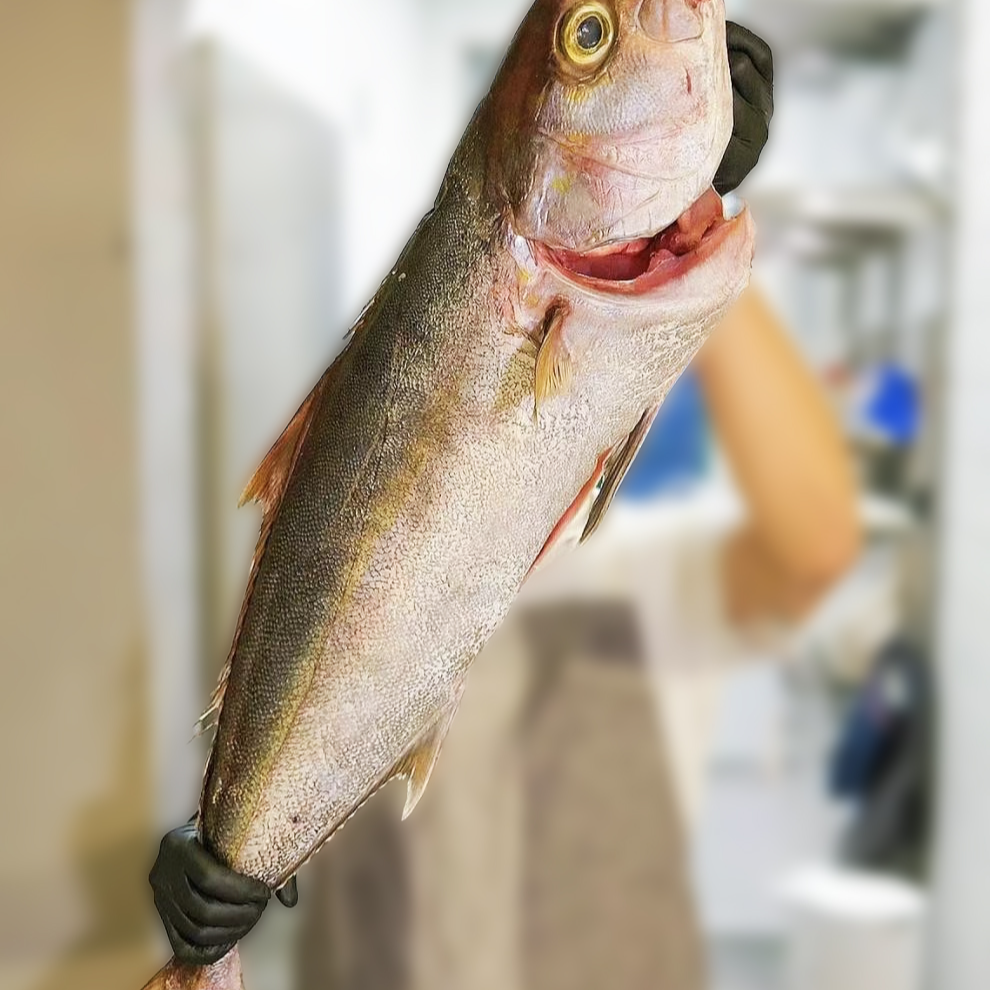 冰鲜深海熟成章红鱼刺身即食350g