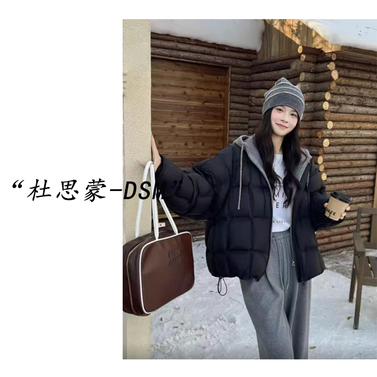 DSM-【叠影绒栖】韩国货！25冬款韩系设计感假两件连帽棉服HX0816