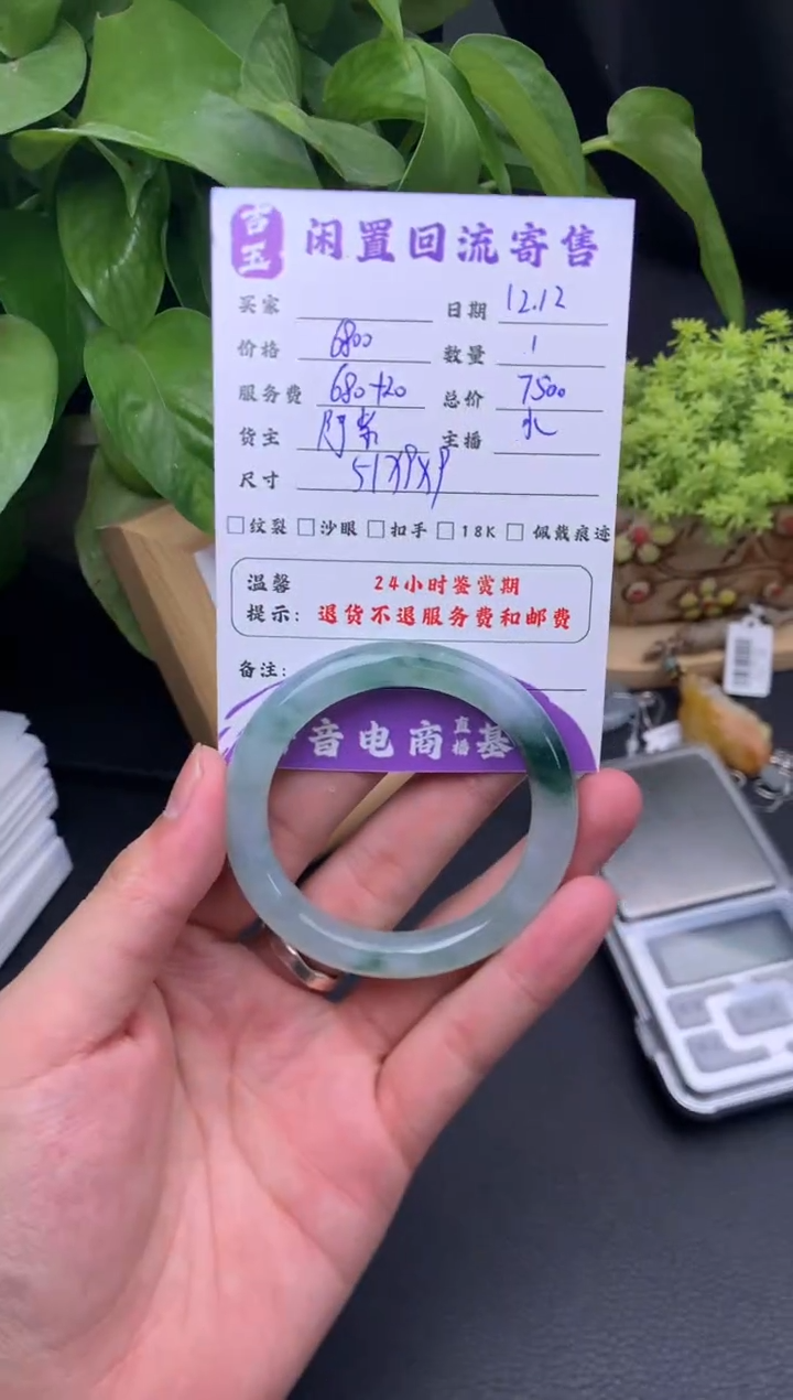 未镶嵌手镯翡翠手镯