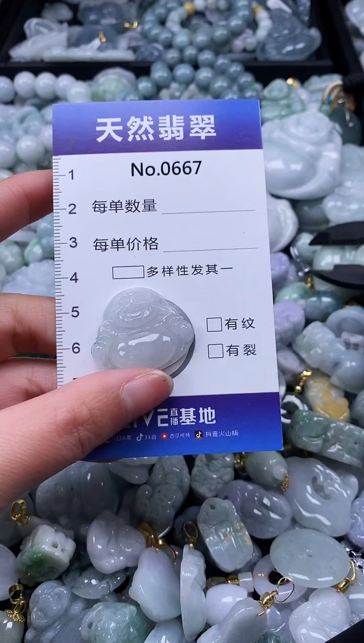 【闪购商品】翡翠颈饰未镶嵌缅甸A货翡翠0667