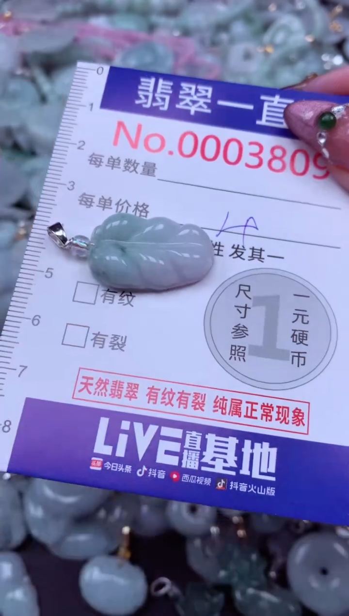 吊坠(不含链)未镶嵌翡翠3809
