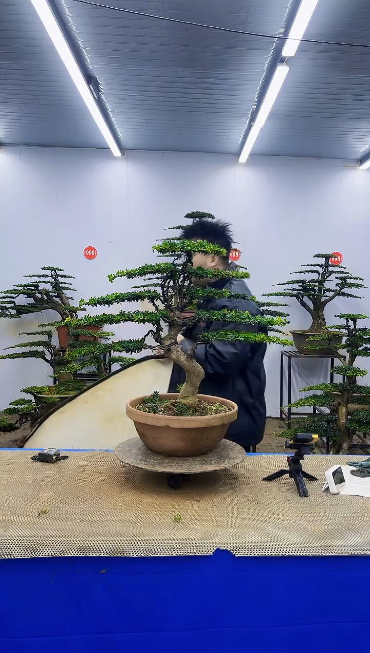 完全开放一物一拍，所见即所得